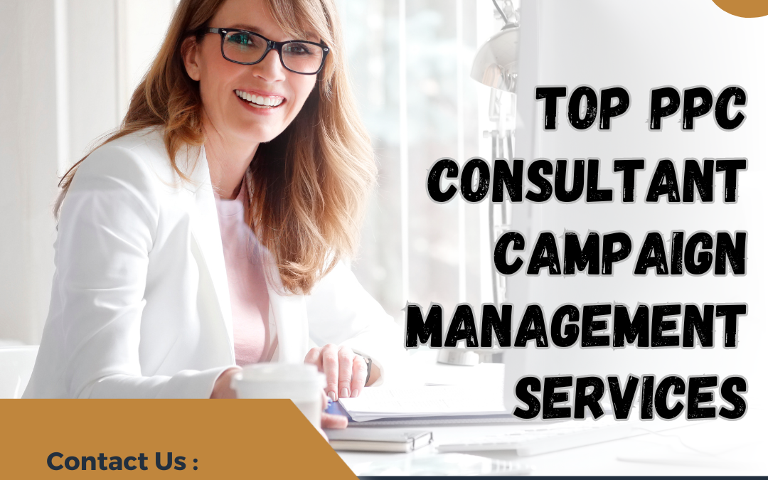 ppc consultant campaign management